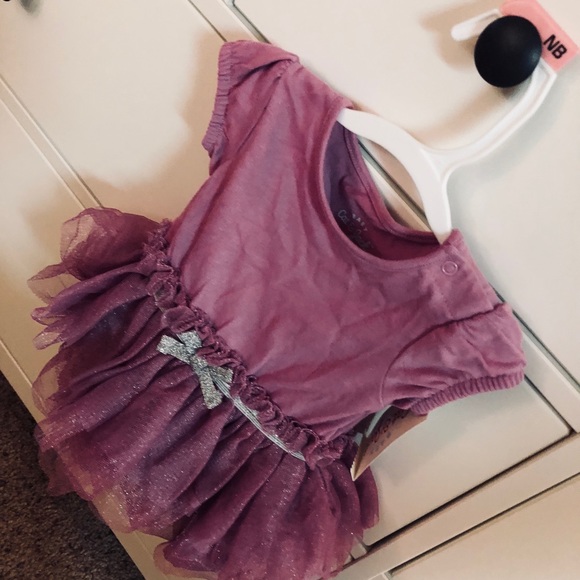 Cat and jack - Picture 2 of 2